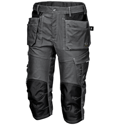 GEMINI Shorts, grey